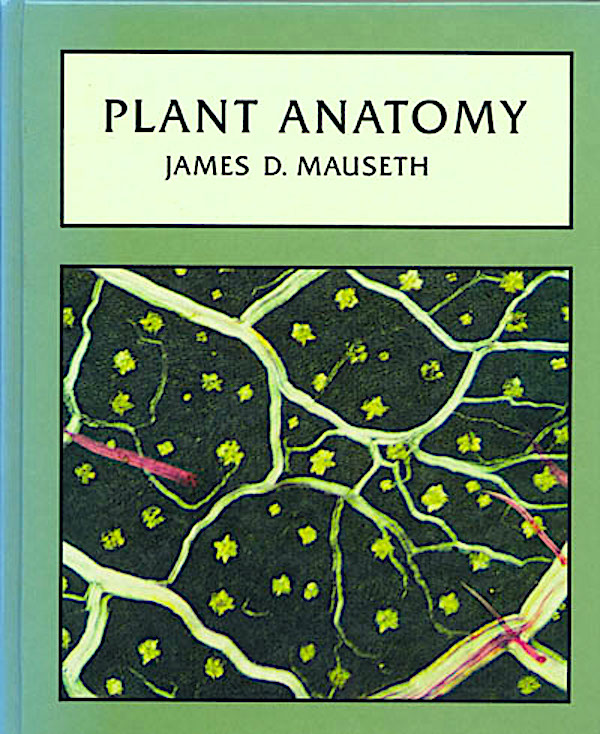 Анатомия растений учебник. Анатомия растений книга. Лаборатория анатомии. Книга plants